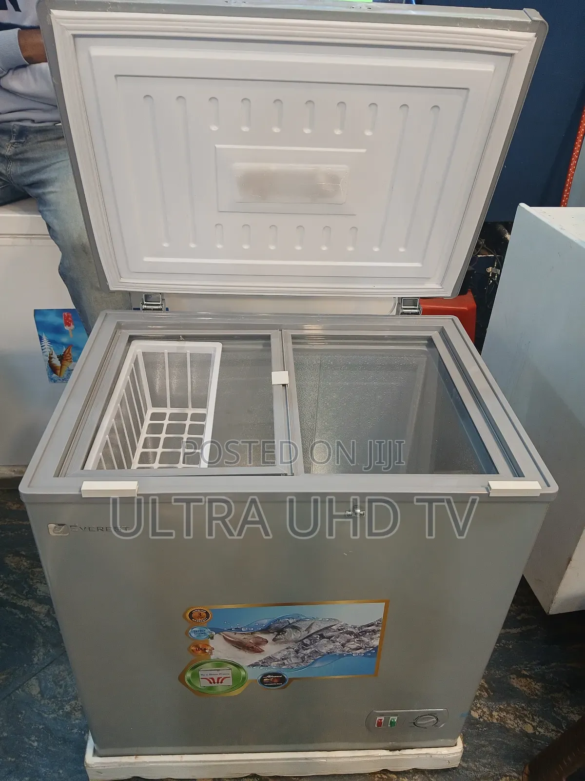 Everest Chest Freezer Model:Ecr 230 Voltage:220v-240v