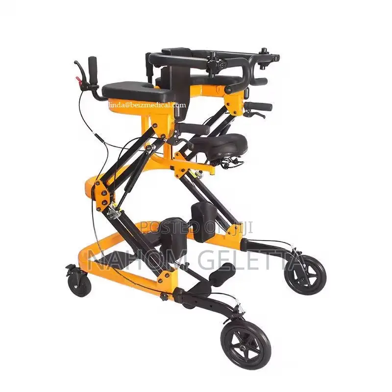 Standing Frame/Walker