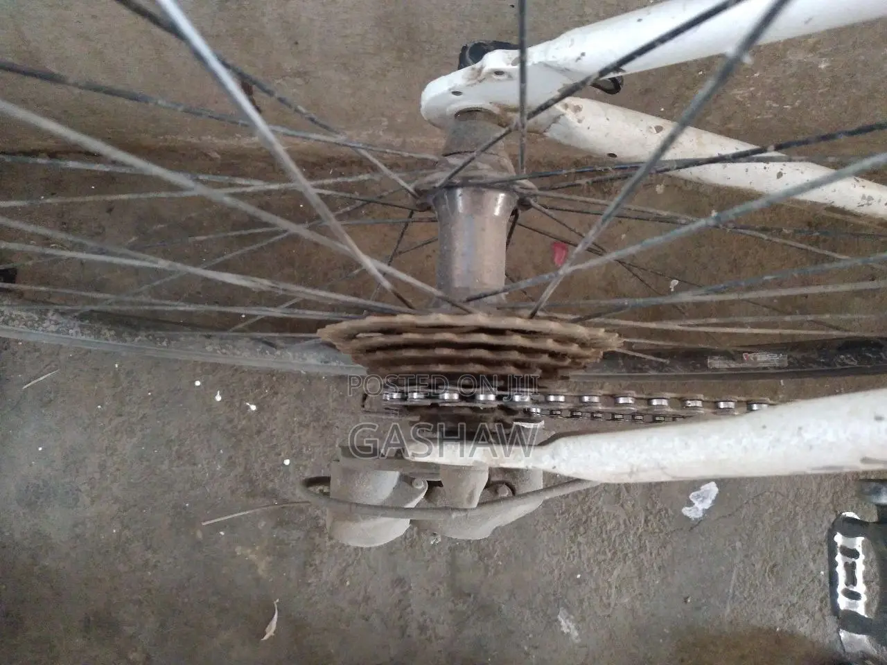 Coarse Bicycle ሳይክል