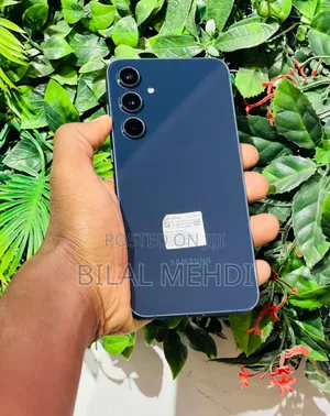 Samsung Galaxy A55 256 GB