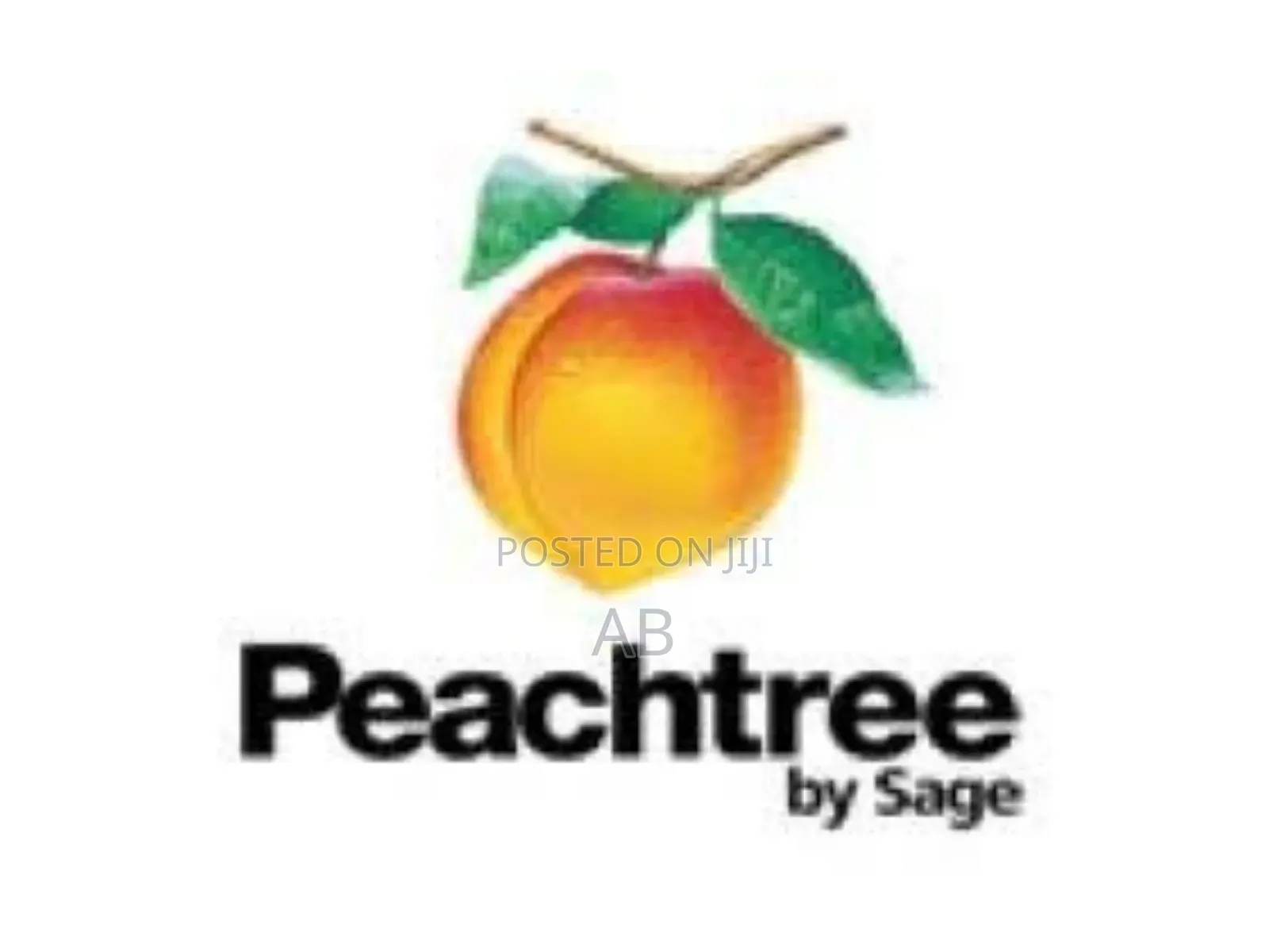 Peachtree Software Installation