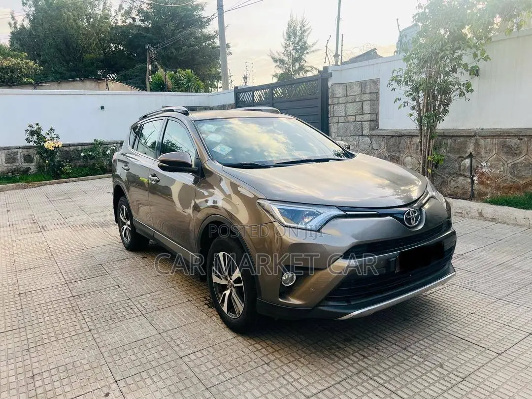 Toyota RAV4 XLE AWD (2.5L 4cyl 6A) 2016 Gray