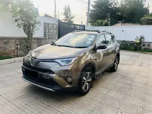 Toyota RAV4 XLE AWD (2.5L 4cyl 6A) 2016 Gray