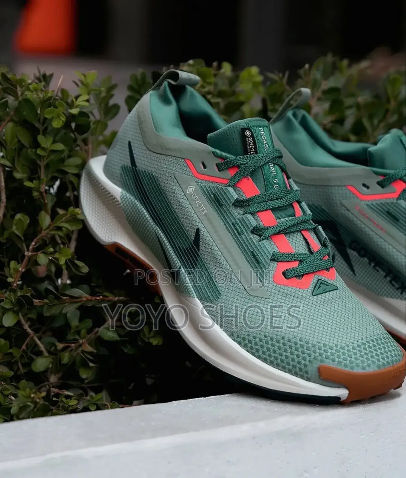 Nike Pegasus Trail Premium Quality