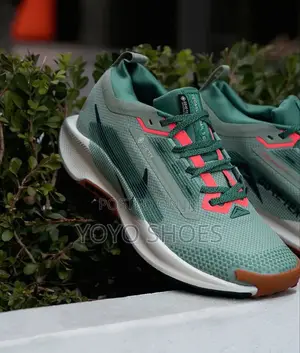Nike Pegasus Trail Premium Quality