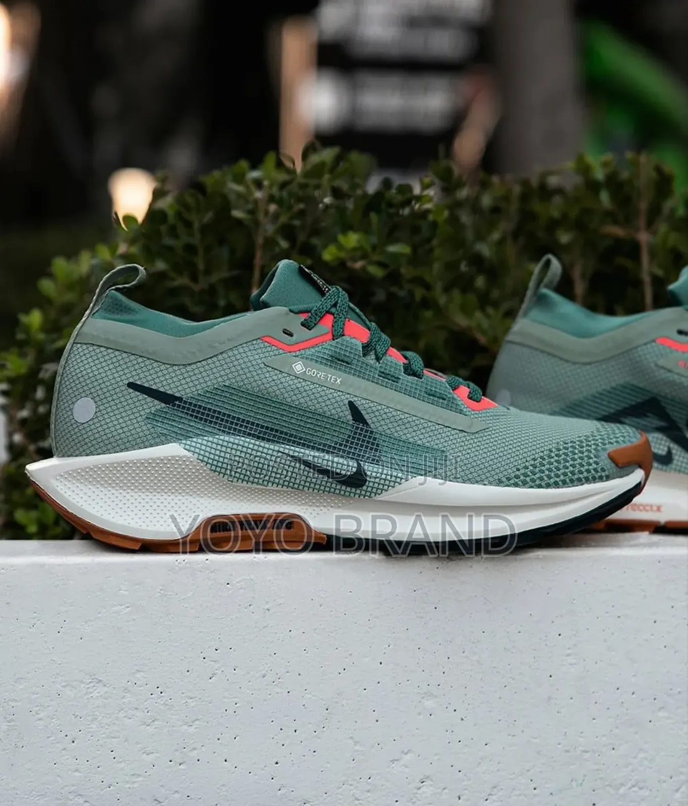 Nike Pegasus Trail Premium Quality