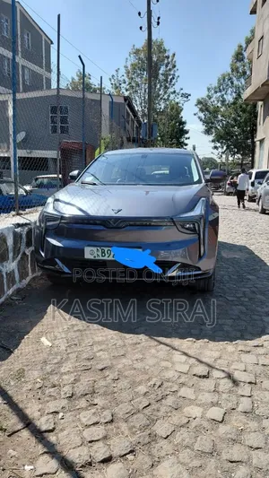 Photo - Hozon Neta U 2023 Gray