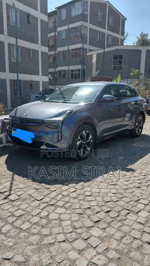 Hozon Neta U 2023 Gray