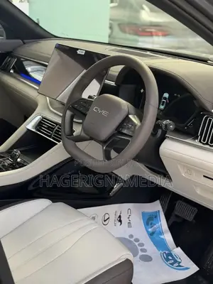 New BYD Song Plus 2025 Gray