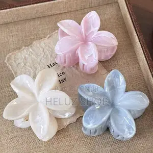 Photo - Cute Hair Clips 3 Color Combo