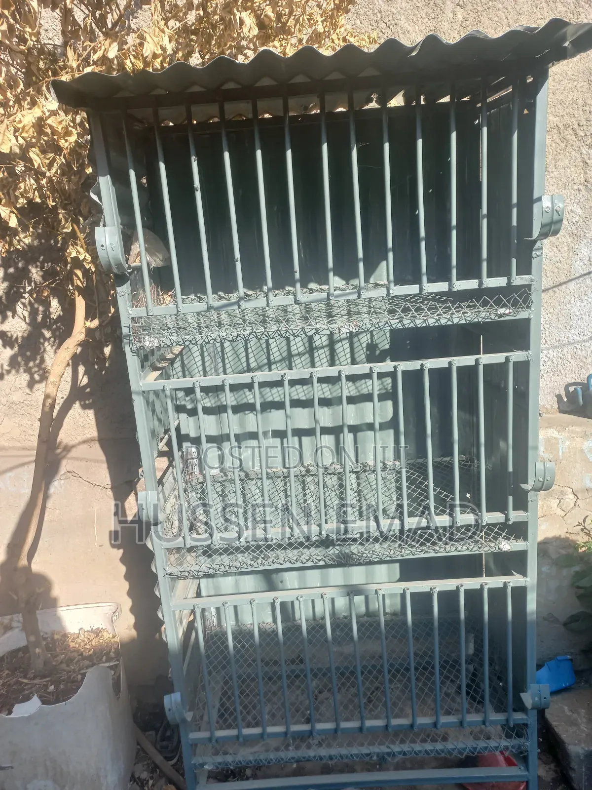 ዘመናዊ የዶሮ ቤት