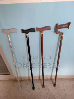 Walking Stick Standard Length各∆Be the First to Review隸鄰can