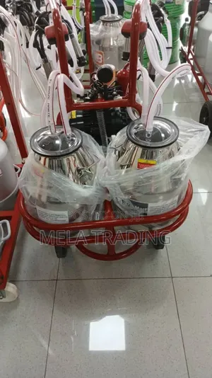 4 Cow's in One Milking Machine