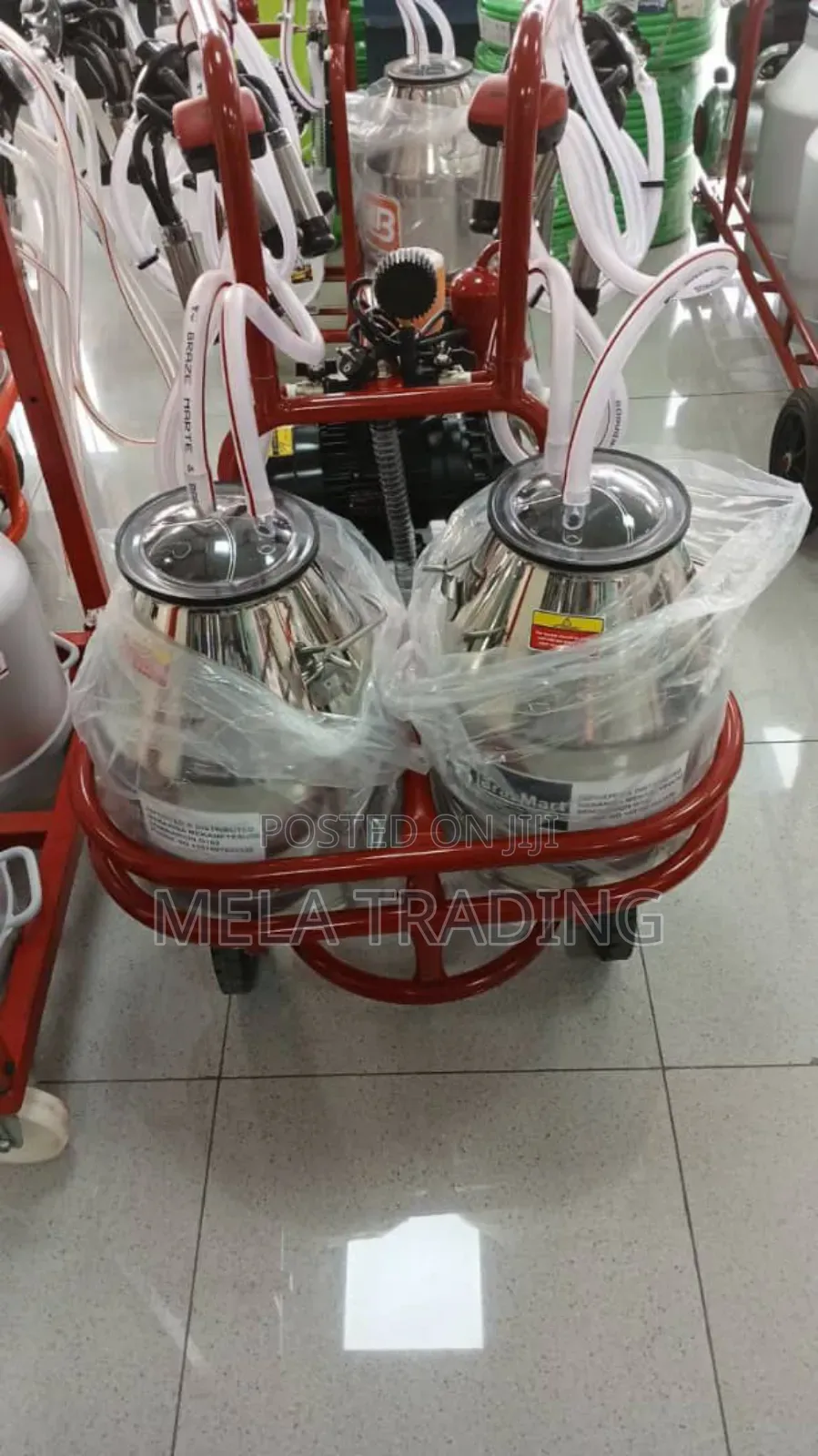 4 Cow's in One Milking Machine