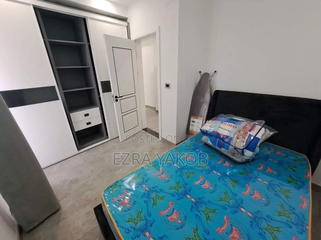 Furnished 2bdrm Apartment in Bole for rent