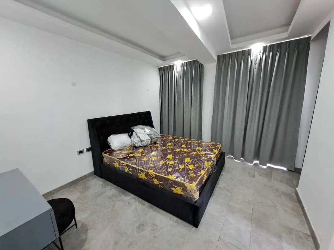 Furnished 2bdrm Apartment in Bole for rent