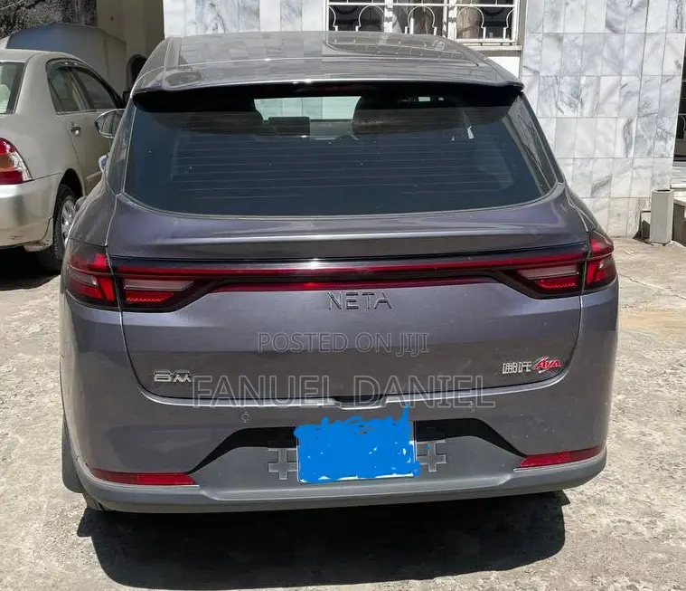 New Hozon Neta Aya 2023 Gray