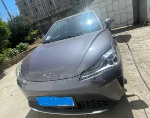 New Hozon Neta Aya 2023 Gray