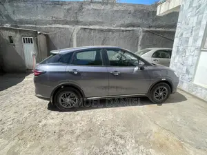 New Hozon Neta Aya 2023 Gray