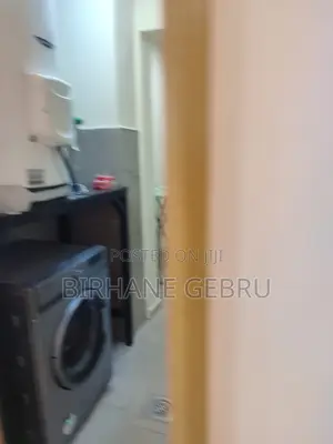 Furnished 3bdrm Apartment in Luxury Fernished, Lideta for rent