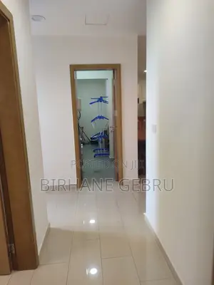 Furnished 3bdrm Apartment in Luxury Fernished, Lideta for rent