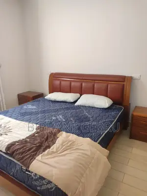 Furnished 3bdrm Apartment in Luxury Fernished, Lideta for rent