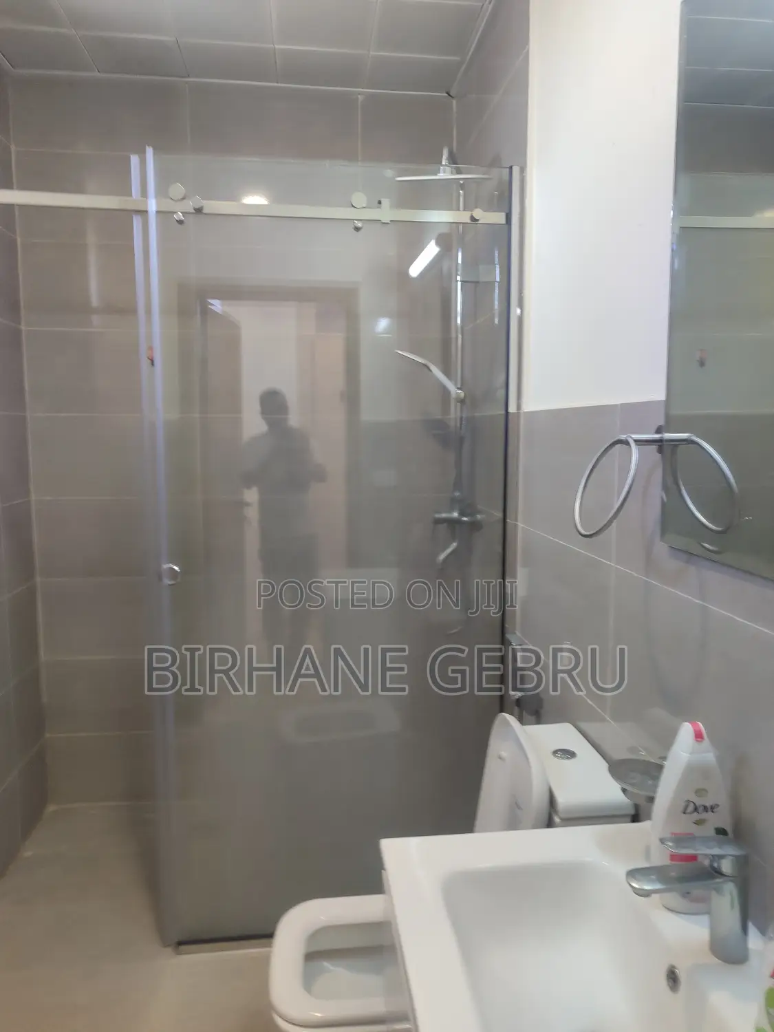 Furnished 3bdrm Apartment in Luxury Fernished, Lideta for rent