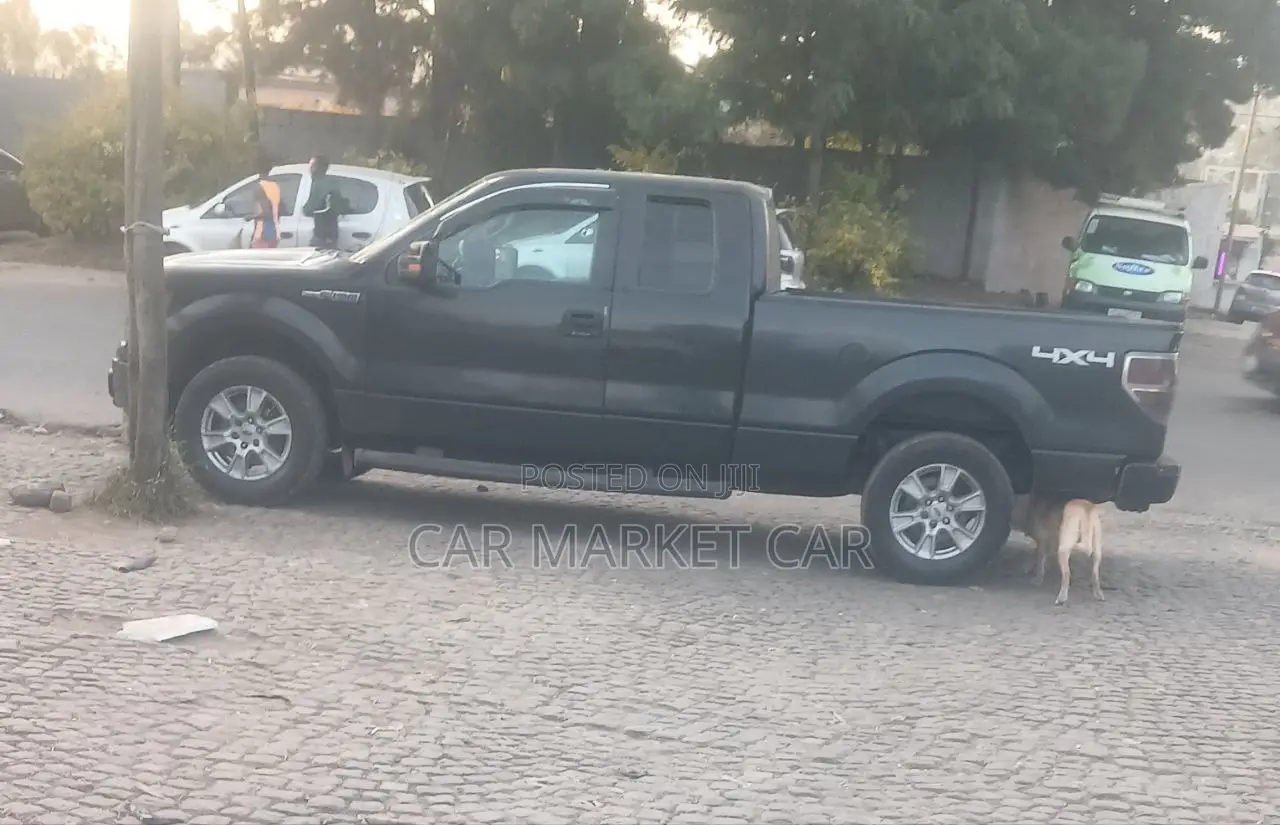 Ford F-150 XLT 2013 Black