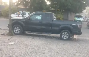 Ford F-150 XLT 2013 Black