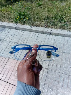 Ferrari Polarized Sunglasses