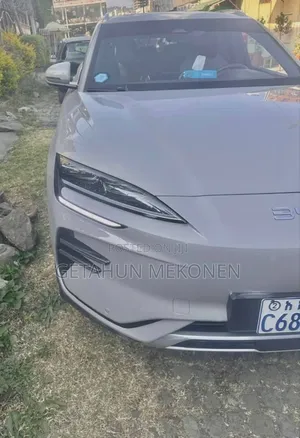 Photo - BYD Song Plus 2025 Gray