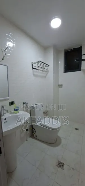 Furnished 3bdrm Condo in Bole Ayat for sale