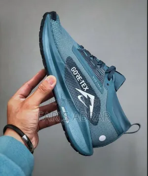 Nike Pegasus Trail 5 Gore-GTX Shoes