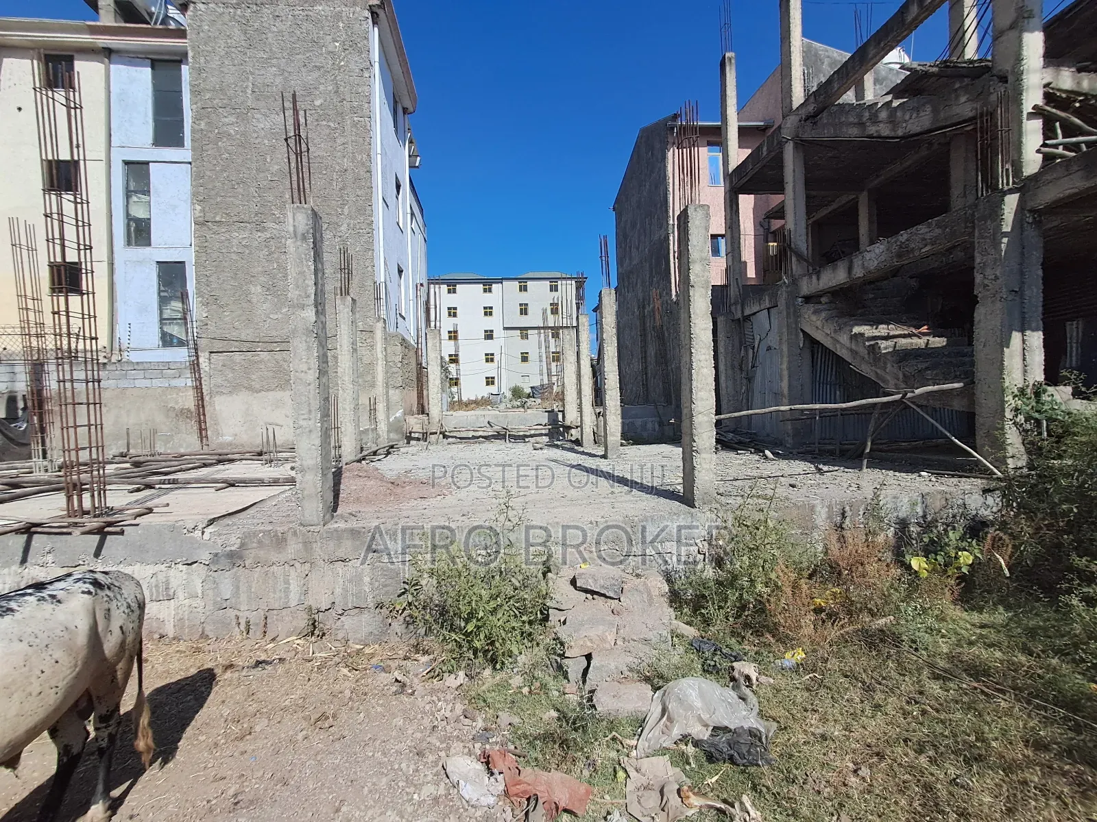 House Basment for Sell