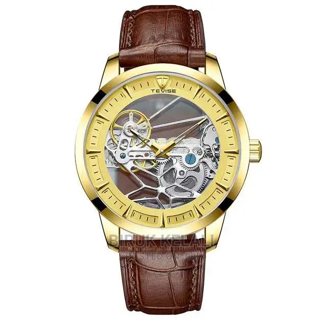 Tevise Luxury Automatic Watch