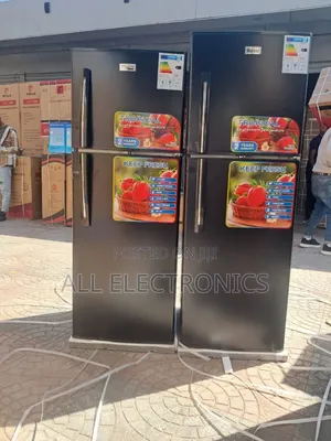 Photo - 360 Model Japan Fridge