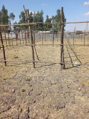 1bdrm House in ወንዴ ፈጣን ደላላ, Yeka for sale