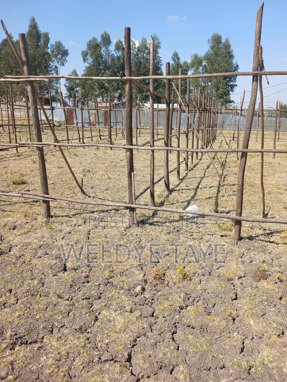 1bdrm House in ወንዴ ፈጣን ደላላ, Yeka for sale