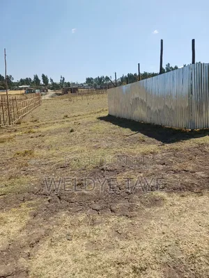 1bdrm House in ወንዴ ፈጣን ደላላ, Yeka for sale