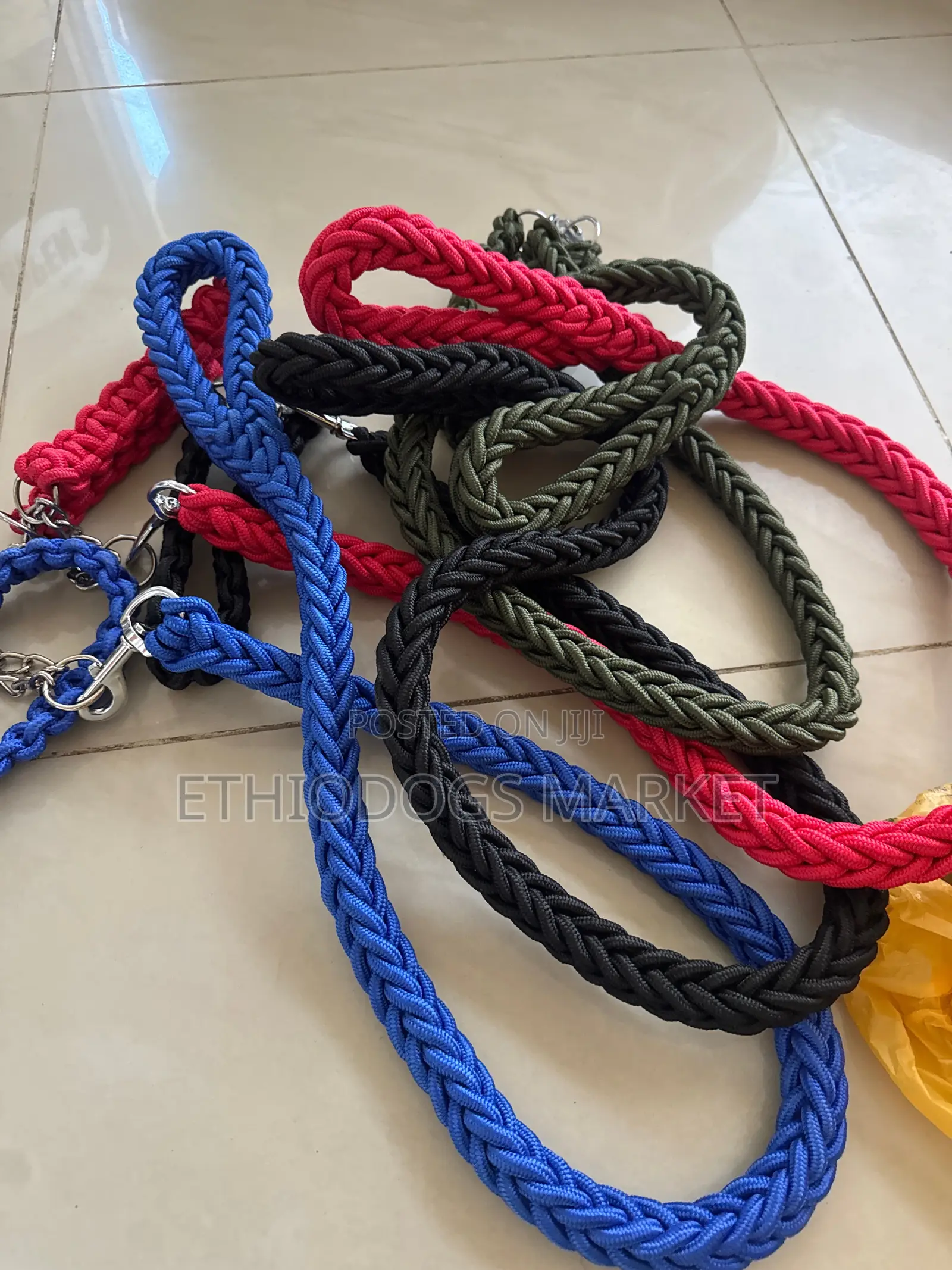 Super Strong Leash and Collar