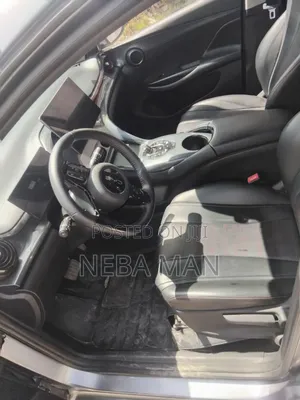 BYD E2 43 kWh 94 hp FWD 2024 Gray