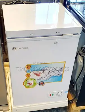 Everest Deep Freezer – 170l Compact Efficient Cooling