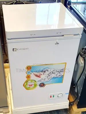 Everest Deep Freezer – 170l Compact Efficient Cooling
