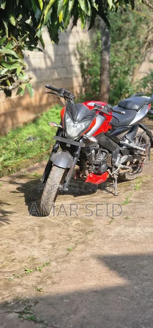 Photo - Bajaj Pulsar NS 200 2018 Red
