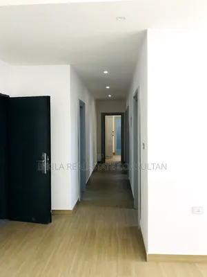 Photo - Furnished 2bdrm Apartment in Kabod Properties, Bole for sale