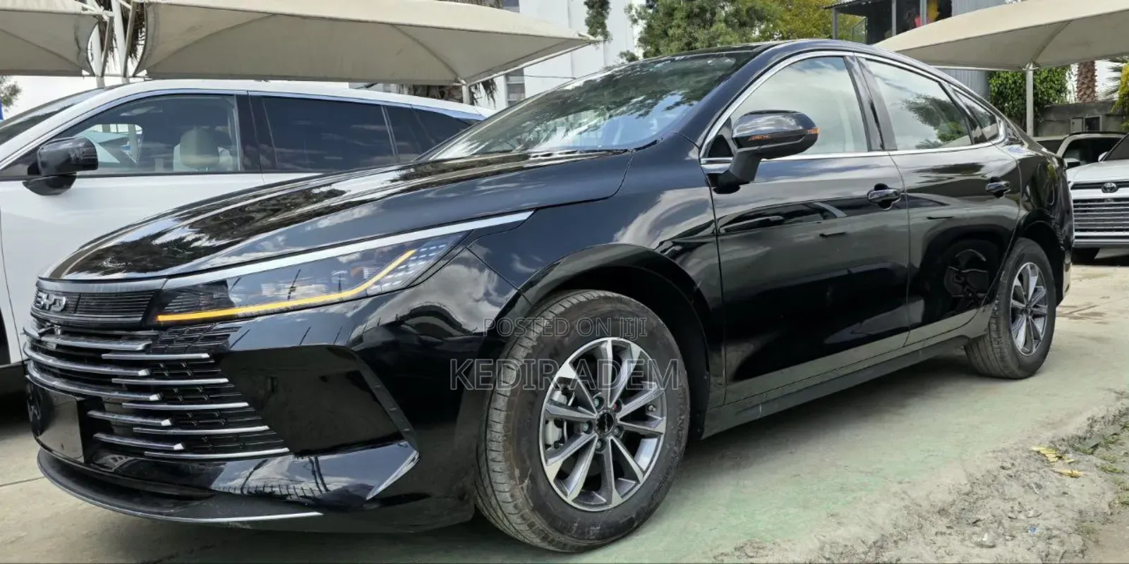 New BYD Qin Plus DM-i 2025 Black