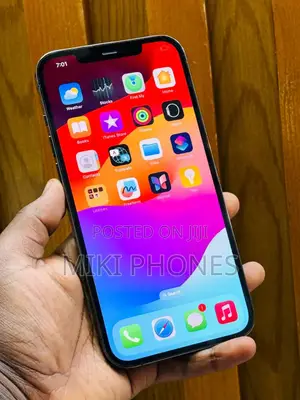 Apple iPhone 12 Pro Max 256 GB