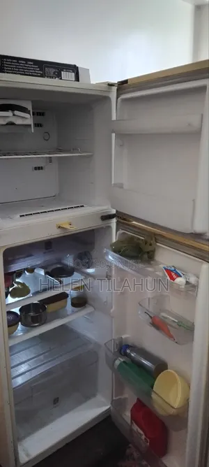 Fridge Brand Samsung