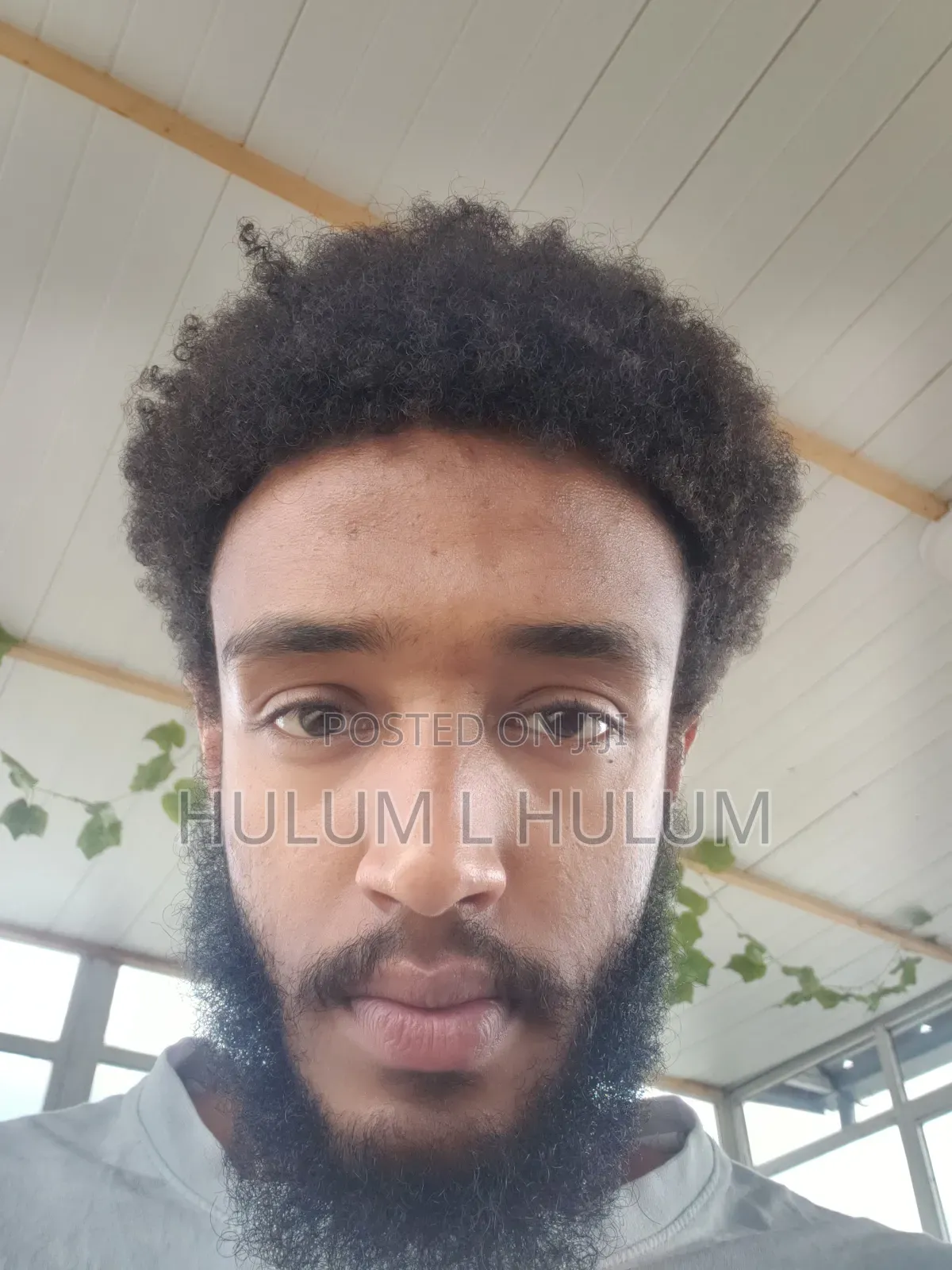 Experienced Educator