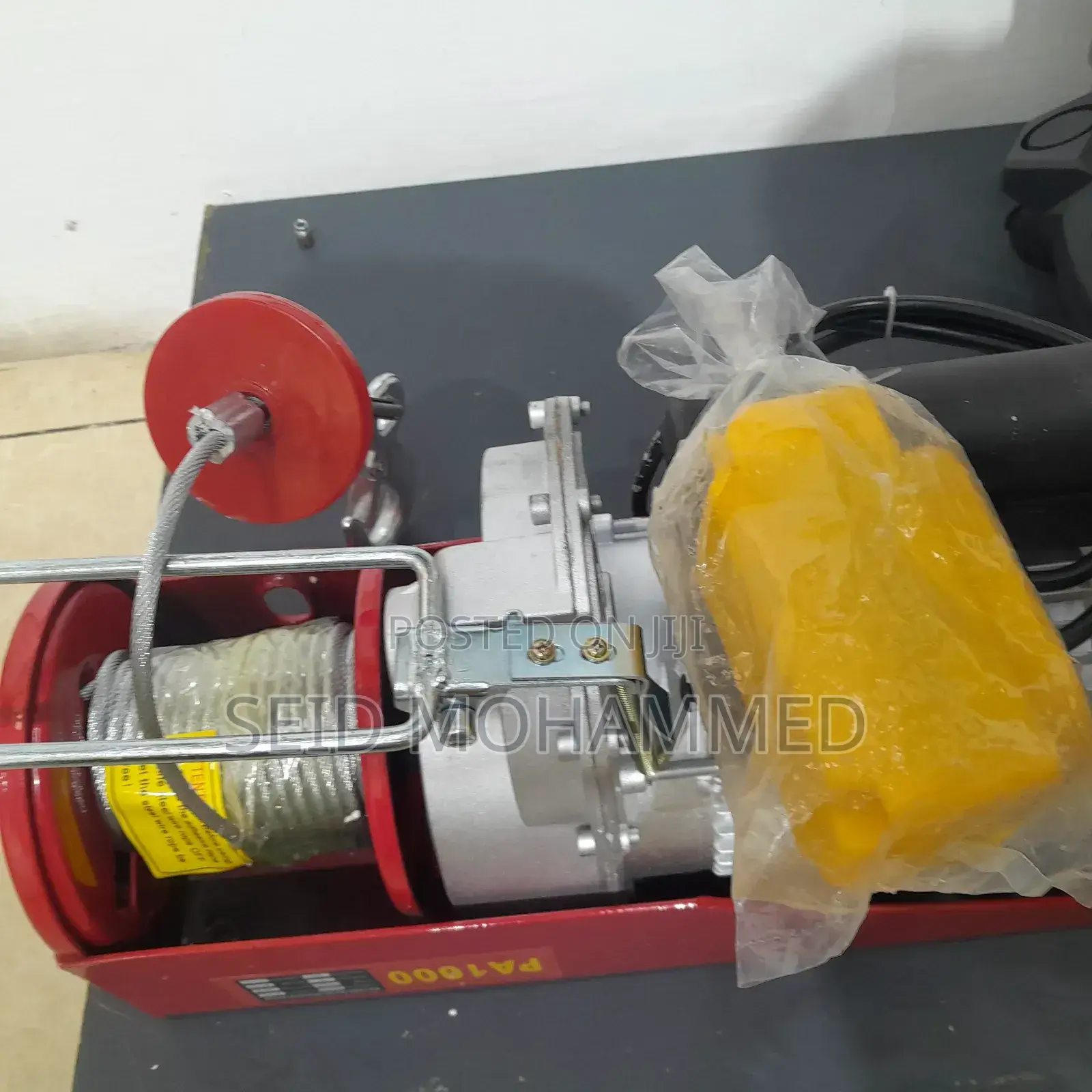 Small Electric Hoist Pa1000